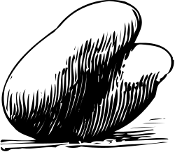 Dog Clipart: Black and White Drawing of a Playful Pup