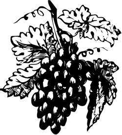 Black and White Flower Bouquet Clipart for Elegant Designs