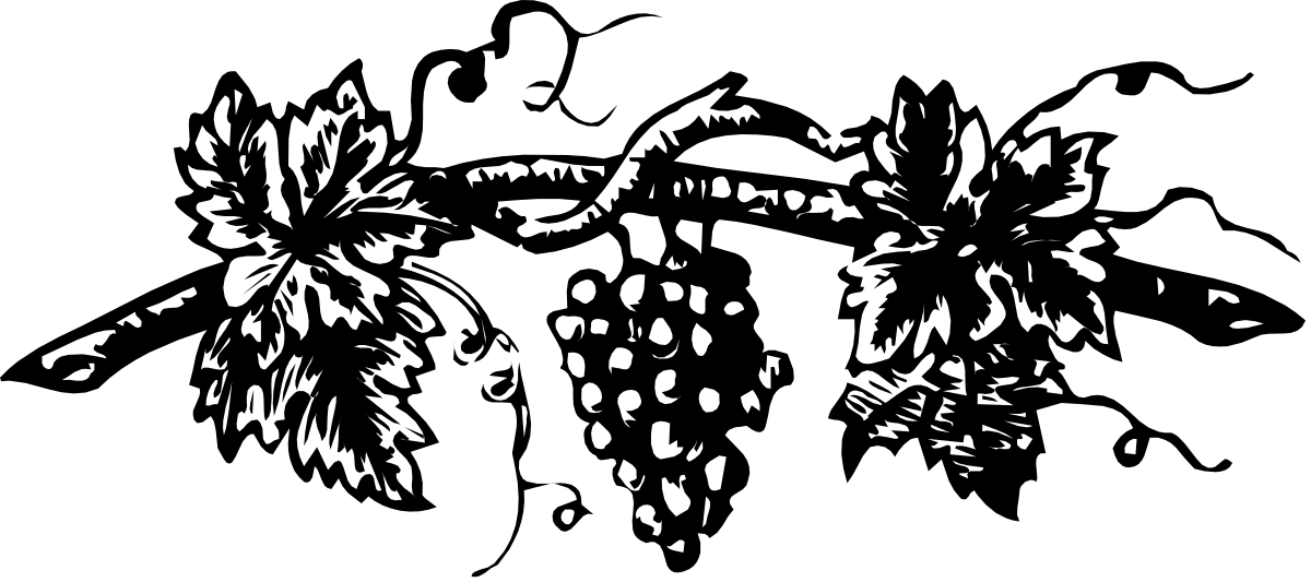 Black and White Beard Man Illustration - Unique Clipart for Your Projects