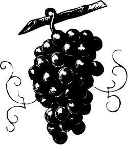 Grapes Clipart on Black Background - Fresh and Delicious