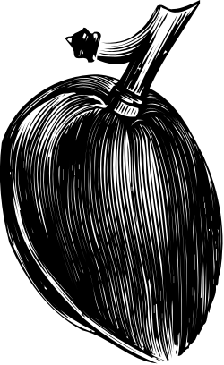 Black and White Pumpkin Clipart Drawing for Seasonal Designs