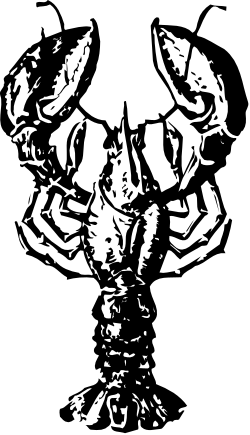 Black and White Man's Face Clipart  High-Quality Vector Illustration