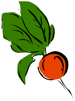 Red and Green Leaf Clipart for Vibrant Designs