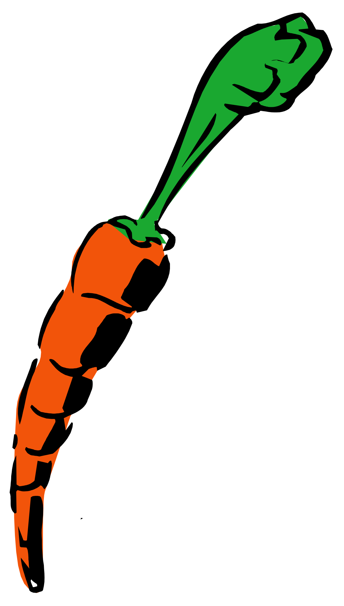 Carrot with Green Stem Clipart for Fresh and Vibrant Designs
