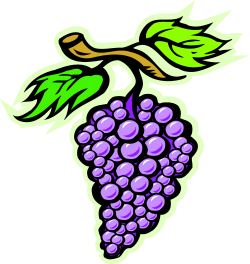 Grapes Clipart: Vibrant and Fresh Grapes Illustrations for Every Project