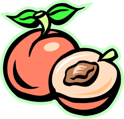 Peach Clipart: Fresh and Juicy Peach Illustrations for All Your Creative Needs