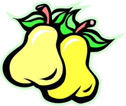 Pears Clipart Collection - Fresh and Juicy Pear Illustrations