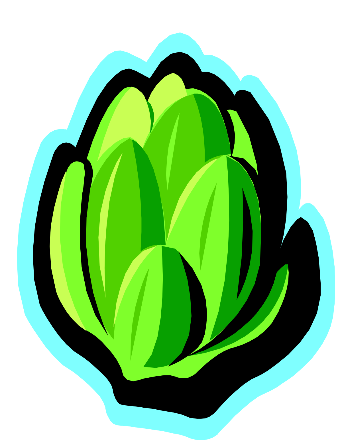 Green Cabbage Clipart with Lush Leaves