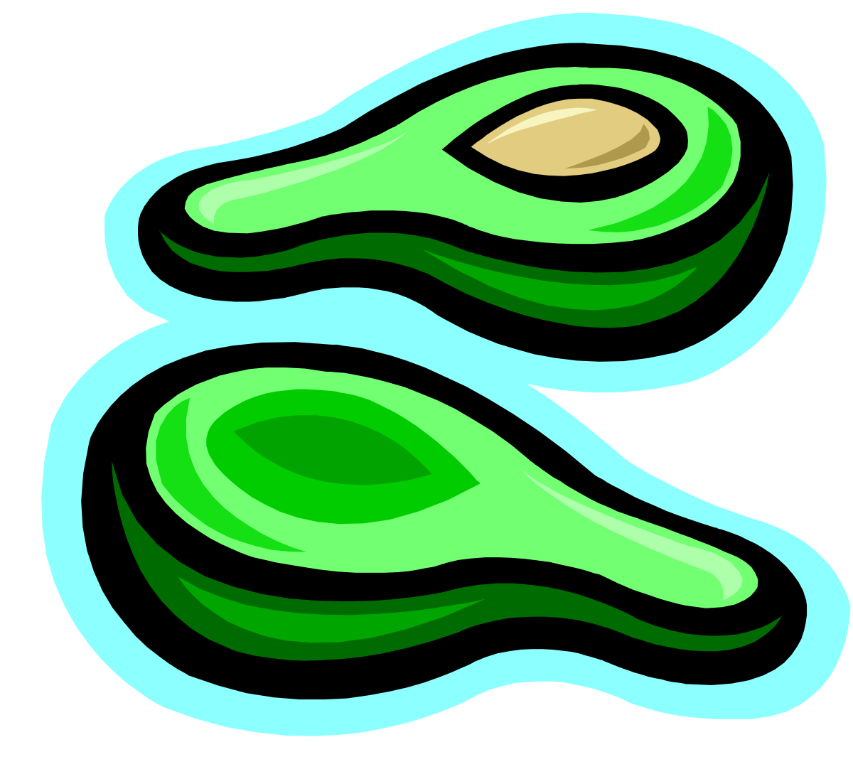 a green avoca with two halves clip art png transparent Green Avocado Halves Clipart - Fresh and Vibrant Illustrations