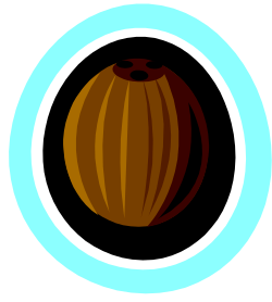Pumpkin in a Blue Circle - Whimsical Clipart for Seasonal Themes