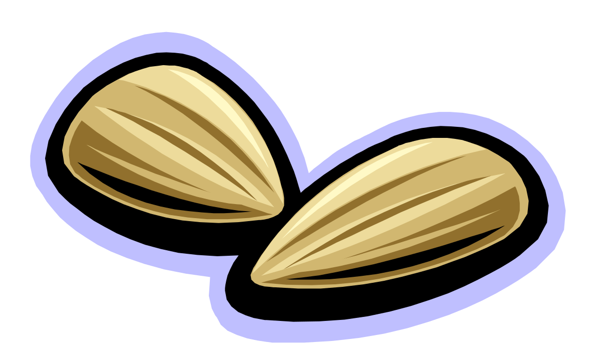 Pio Nuts Clipart - Vibrant Pair of Nuts for Your Creative Projects