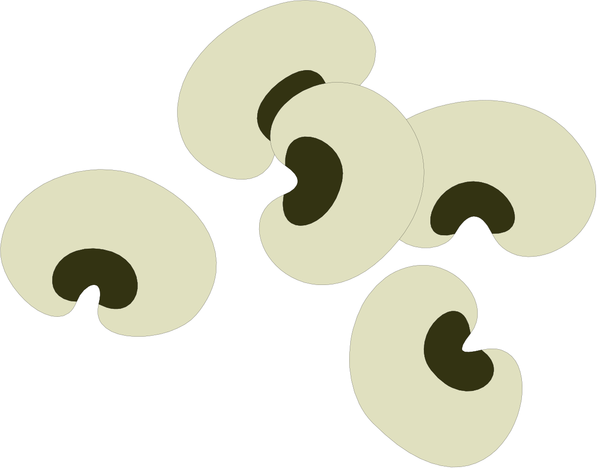 White Circles on Black Background - Unique Clipart for Modern Designs