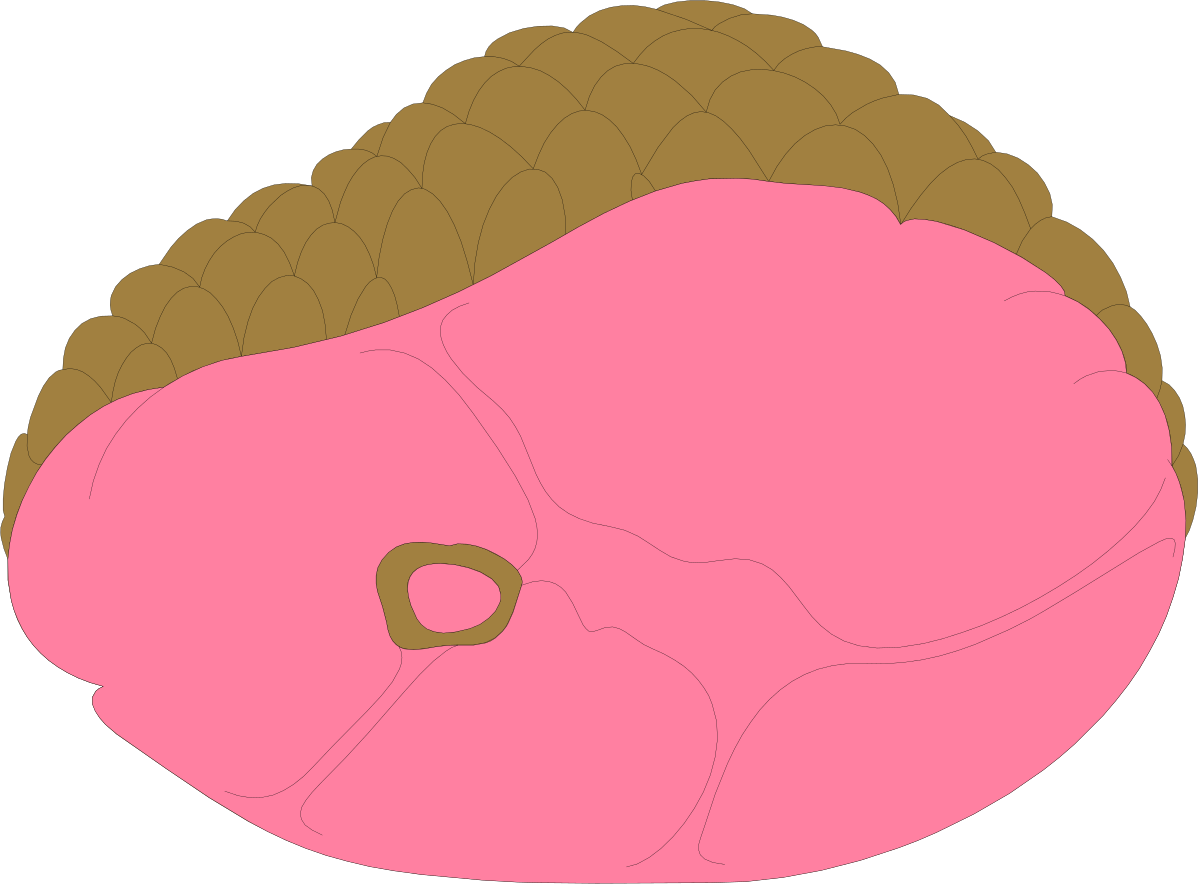 Pink and Brown Object on Black Background - Captivating Clipart Collection