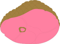 Pink and Brown Object on Black Background - Captivating Clipart Collection