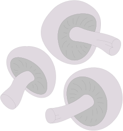 Three White Buttons on Black Background Clipart