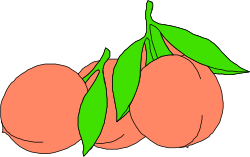 Peaches Clipart Collection: Vibrant and Fresh Fruit Illustrations