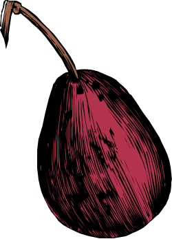 Red Onion on Black Background - Fresh and Vibrant Clipart