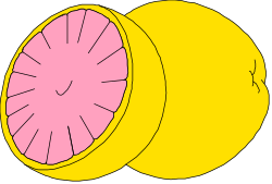 Yellow and Pink Fruit Clipart - Vibrant Slice Illustrations