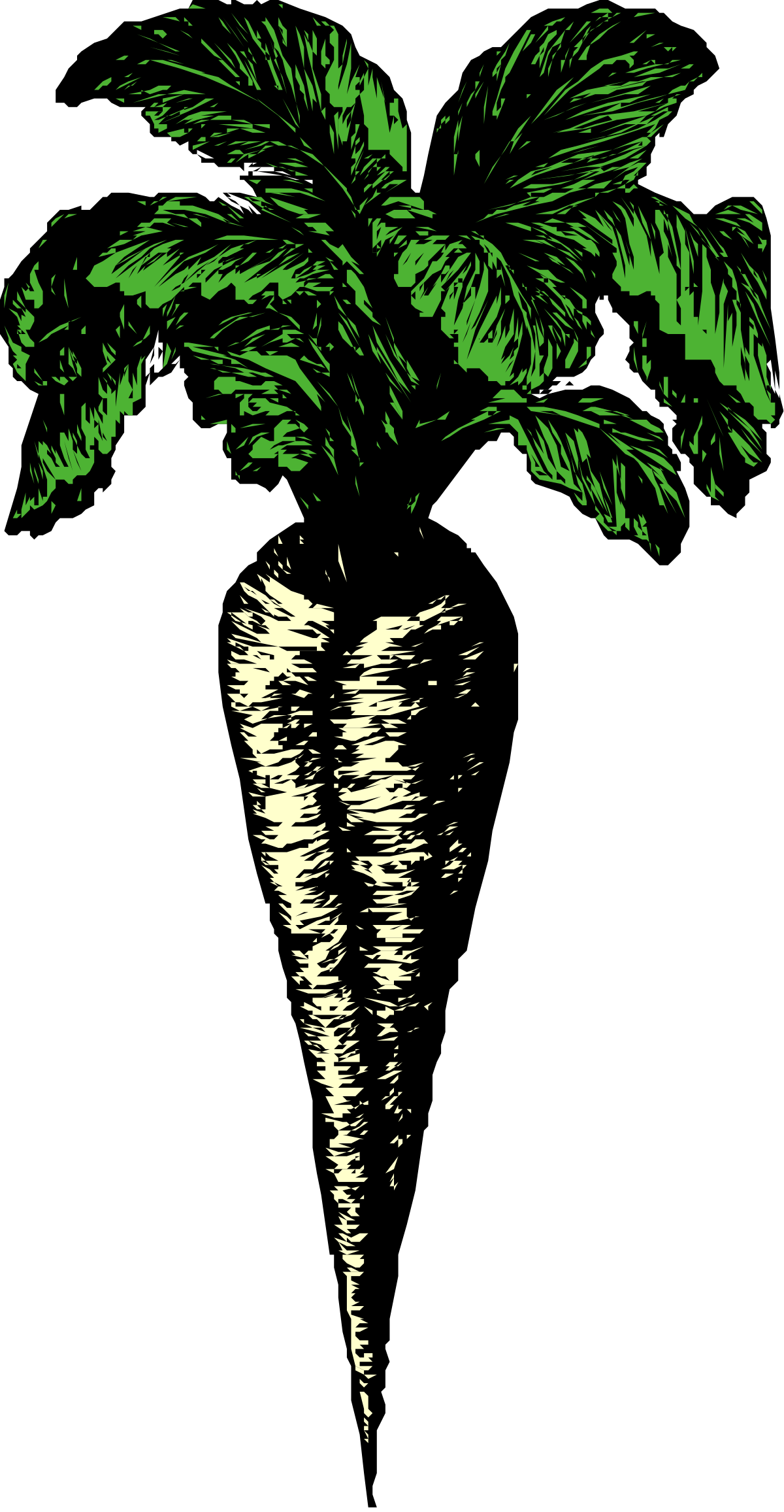 Green Plant with Lush Leaves Clipart for Vibrant Designs