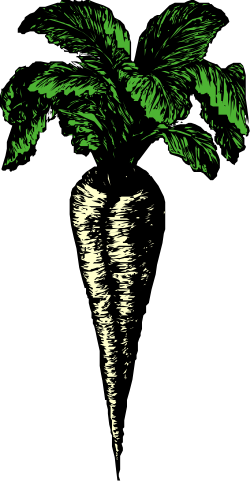 Green Plant with Lush Leaves Clipart for Vibrant Designs