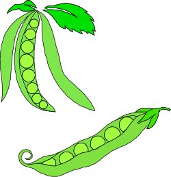 Green Pea with Leaf Clipart for Fresh and Natural Designs
