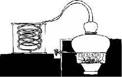 Black and White Light Bulb Clipart for Creative Projects