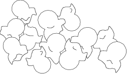White Flowers Clipart Collection for All Your Creative Needs