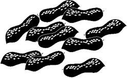 White Dots Pile on Black Background - Stunning Clipart Design