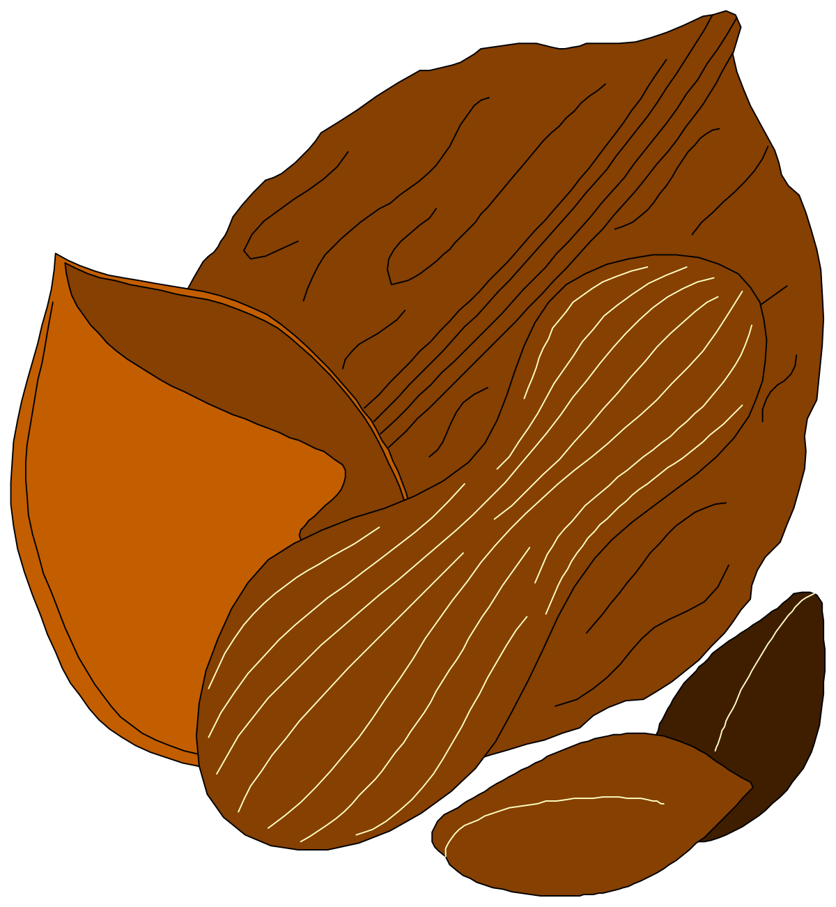 Nuts Pile on Black Background - Perfect Clipart for Nature Themes