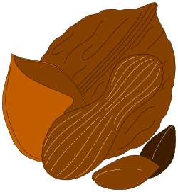 Nuts Pile on Black Background - Perfect Clipart for Nature Themes