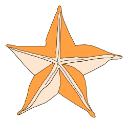 Star Clipart on Black Background  Captivating Visuals for Your Projects