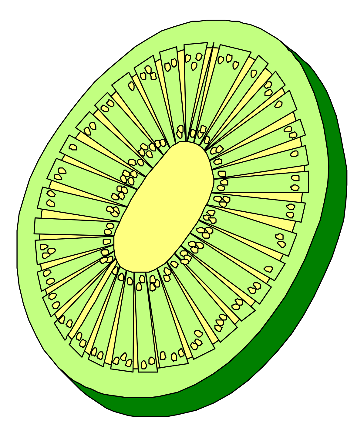 Sliced Green Apple Clipart on Black Background