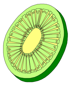 Food,Fruitveg,FOOD066 clipart