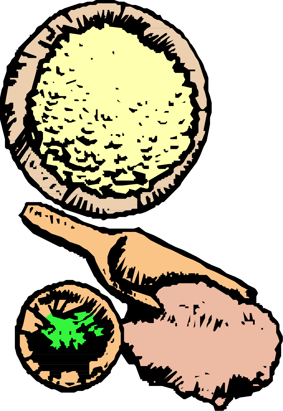 Hand Holding Bread with Green Leaf - Fresh and Natural Clipart