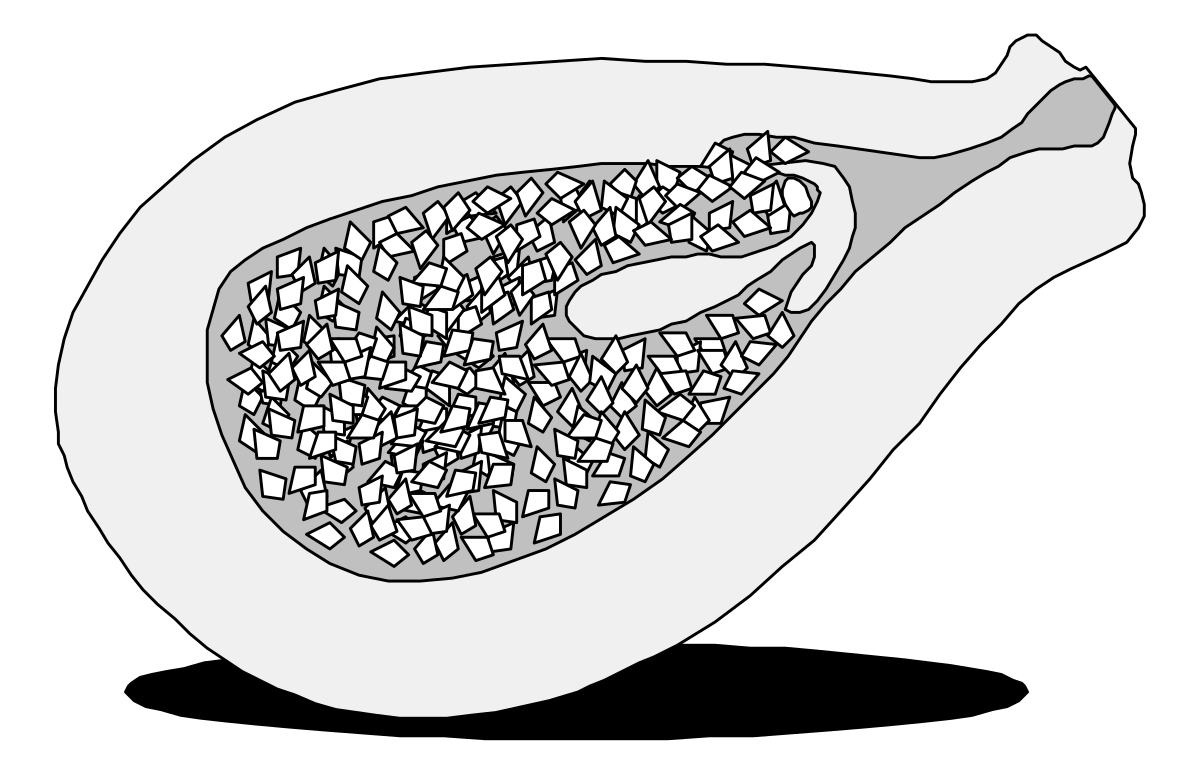 a piece of a piece of a piece of a piece of a piece of a piece of a piece of clip art png transparent Versatile Clipart Collection for Every Project