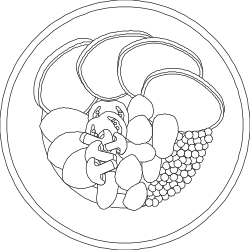 Grapes on a Plate Clipart - Fresh and Juicy Visuals