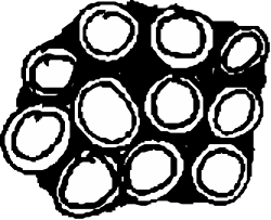 White Circle Clipart Collection for Seamless Designs