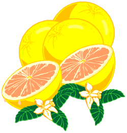 Lemons with Leaves and Flowers Clipart - Fresh Citrus Illustrations