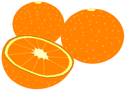 Orange Cut in Half Clipart - Vibrant Citrus Illustration for Creative Projects