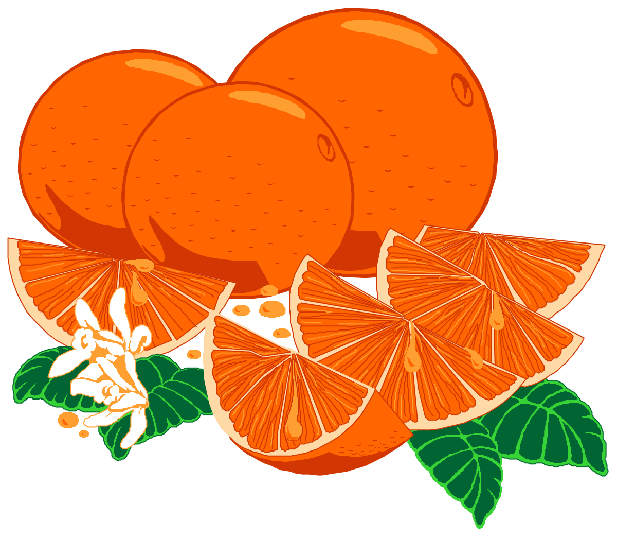 a bunch of oranges with leaves and flowers clip art png transparent Fresh Oranges with Leaves and Flowers Clipart Collection