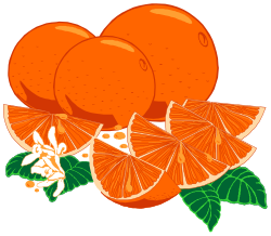 Fresh Oranges with Leaves and Flowers Clipart Collection