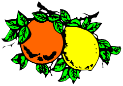 Oranges with Green Leaves - Vibrant Clipart Collection