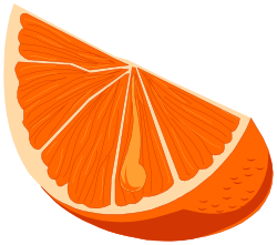 Half of an Orange Clipart - Fresh Citrus Fruit Illustration