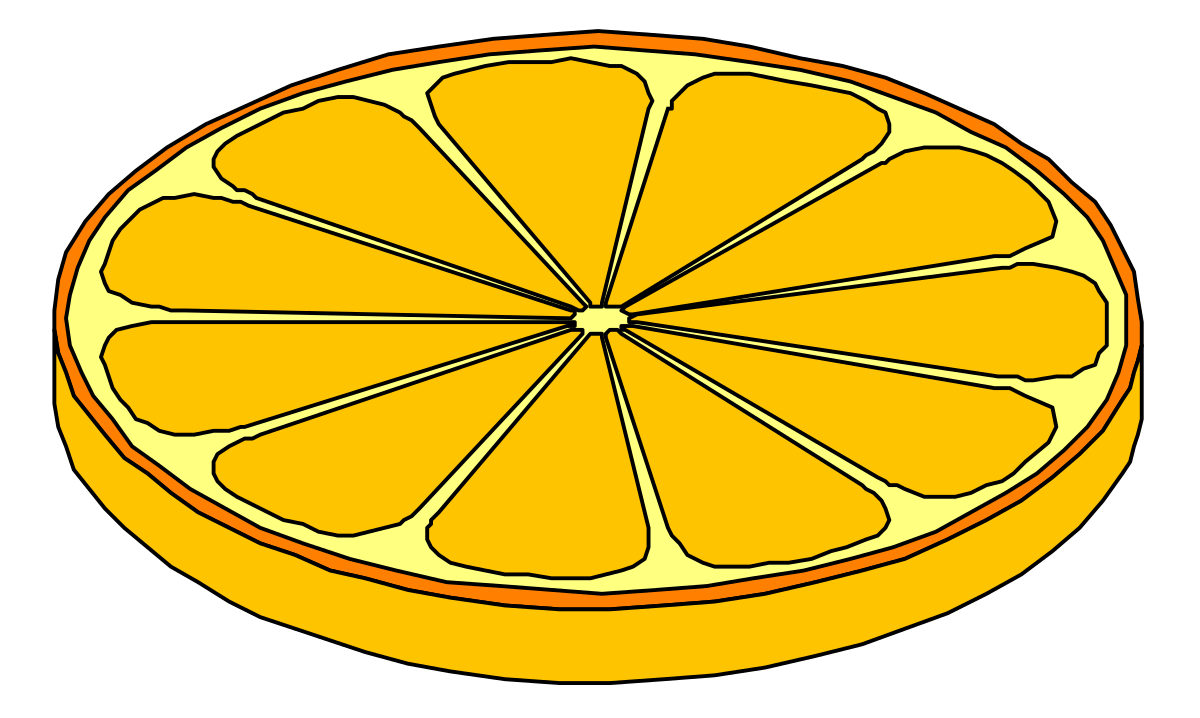 Fresh Orange Slice Clipart for Vibrant Designs