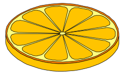 Fresh Orange Slice Clipart for Vibrant Designs
