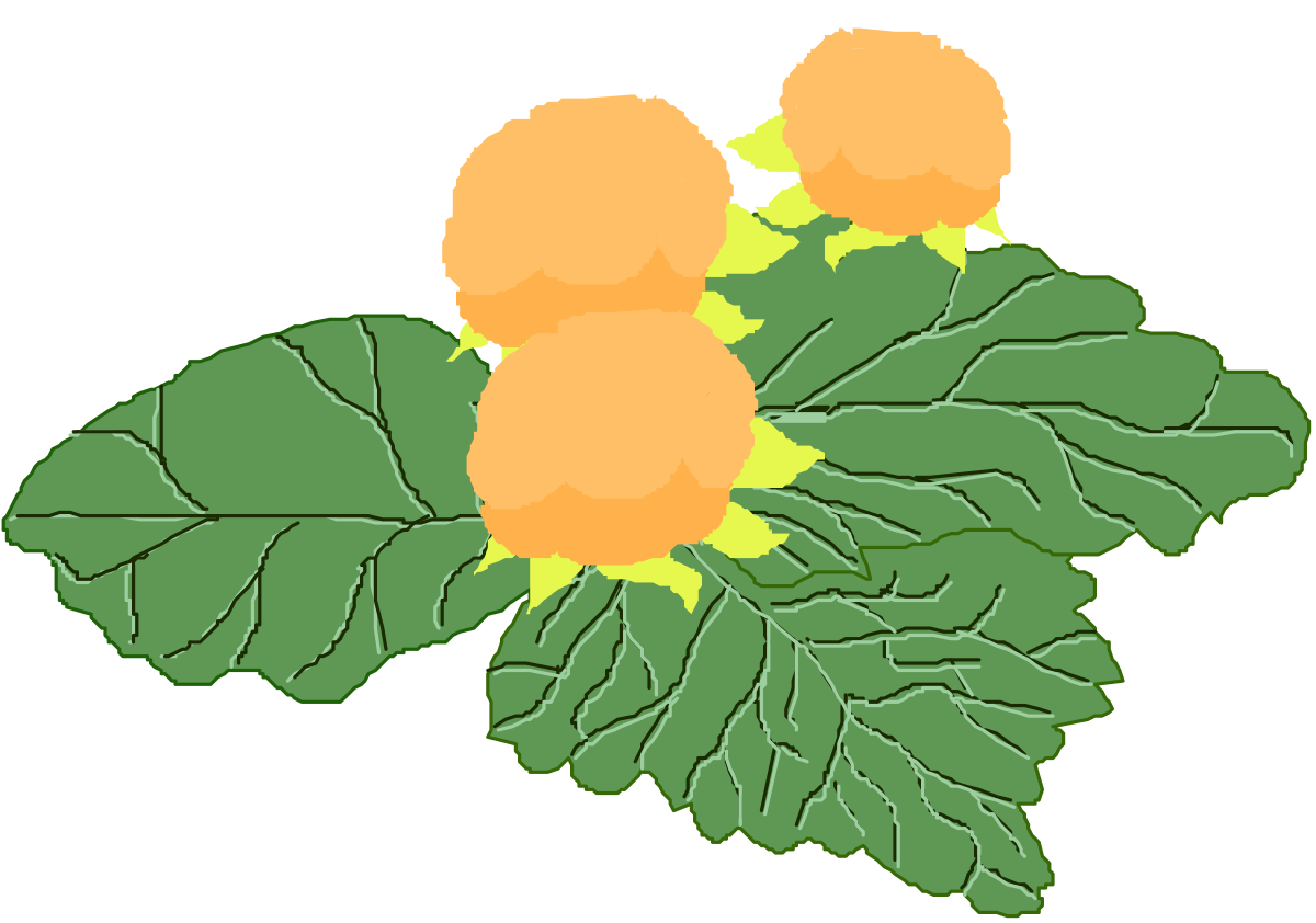 a bunch of orange flowers clip art png transparent Orange Flowers Clipart Collection - Vibrant Floral Illustrations