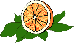 Half Orange with Leaves Clipart - Fresh and Vibrant Citrus Illustration