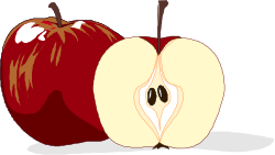 Half Apple Clipart - Fresh and Juicy Fruit Illustration