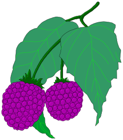 Mulberries Clipart: Fresh Bunch of Juicy Berries for Creative Projects