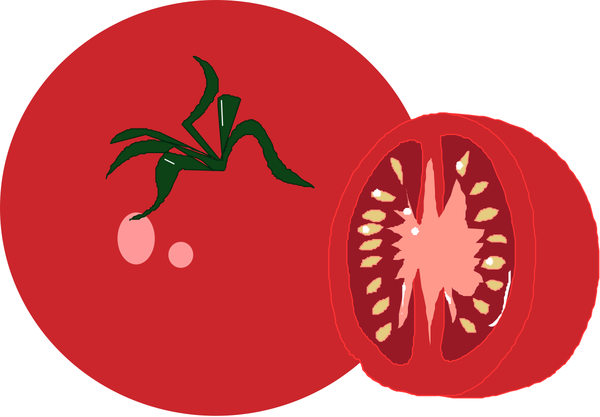 Fresh Tomato Slice Clipart: Vibrant and Juicy Halved Tomato Illustration